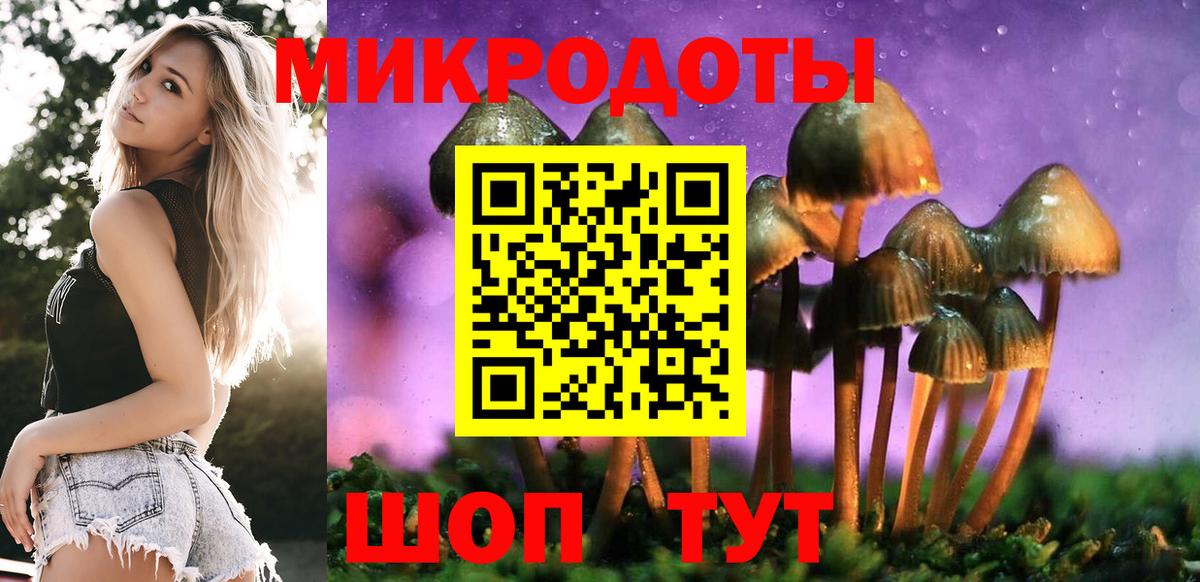 Псилоцибиновые грибы Cubensis Назарово